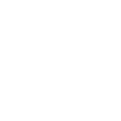 American International Group, Inc. Share Price